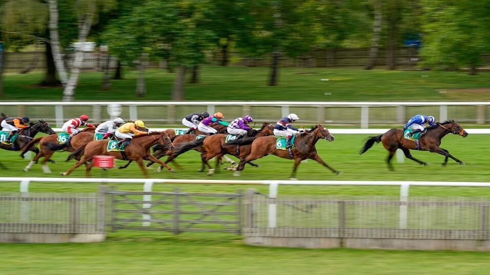 Newmarket racecourse